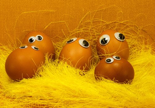 eggs with eyes looking at the camera