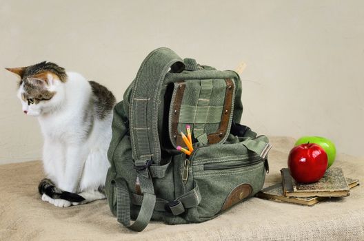 Cat Sitting Near The Backpack On The Linen Cloth