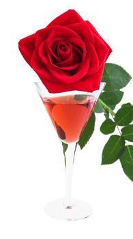 red rose and liquor in a celebratory glass
