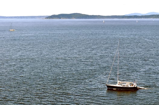 Sailboats in Puget Sound