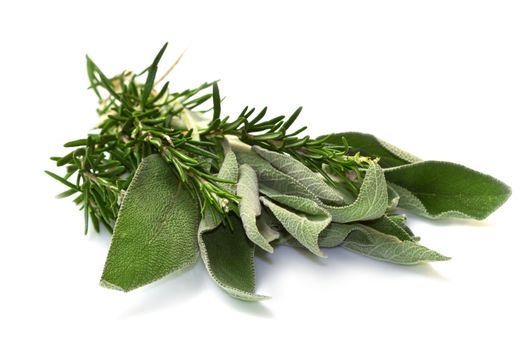 Sage and rosemary on a white background