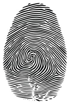 realistic fingerprint isolated on white background. macro fingerprint