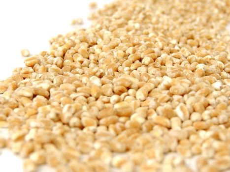 Pearl Barley