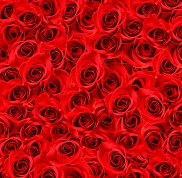 Plenty red natural roses background texture wallpaper