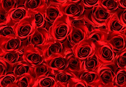 a lots of red roses texture background. Symbol of love