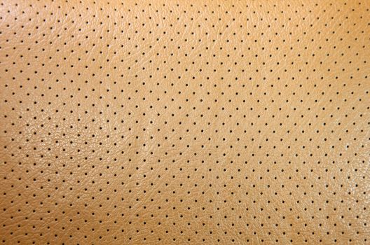 Tan Leather Texture