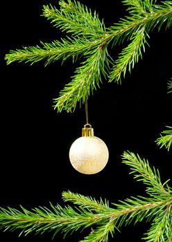 Christmas bauble on background tree.Christmas tree ornaments  on dark 