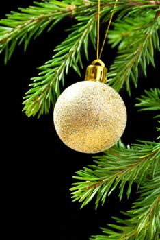 Christmas bauble on background tree ,Christmas tree ornaments,