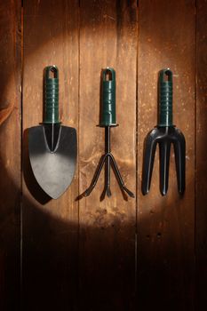Set of gardening tools on wooden background and spot