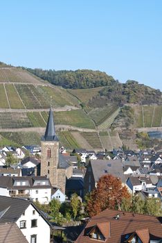 View of the wine fields and the village of Dernau in Rhineland-Palatinate, Germany