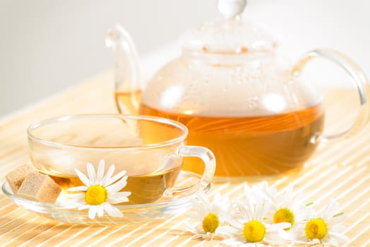 A teacup and a teapot with herbal chamomile tea