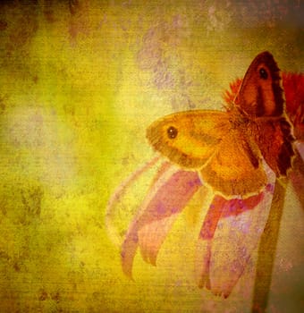 butterfly and flower vintage fabric texture background