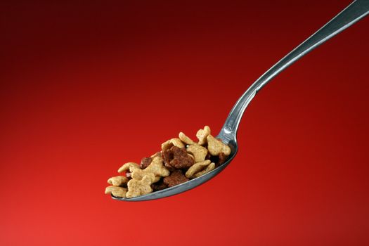 Close up of spoon filled with cornflakes 