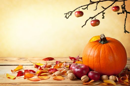Autumn pumpkin composition on wooden table with copy space