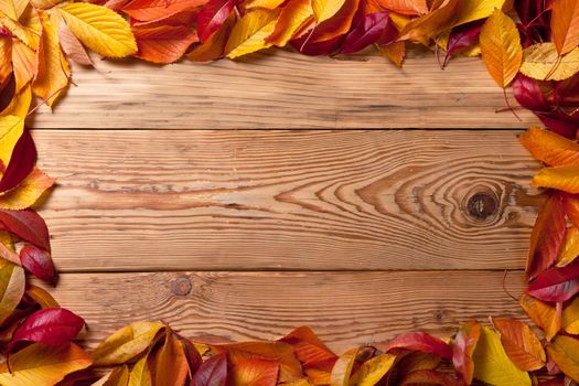 Autumn leaves from fruit trees on wooden background with copy space. Top view 