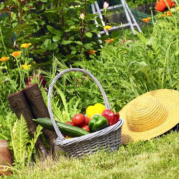 basket of vegetables and in a botanical garden