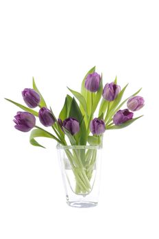 A bouquet of purple tulips in a vase against a white background