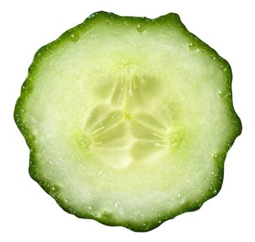 Fresh cucumber slice isolated on white background 