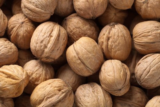 Plenty of walnuts, top view for background