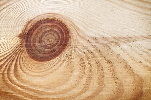 Wood texture with knot for background. Close up
