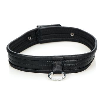 Leather collar with a metal ring - typical fetish wear.