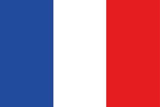 An illustration of the flag of France