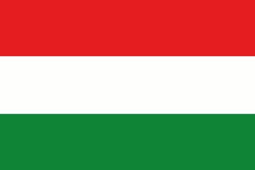 An illustration of the flag of Hungary