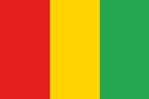 An illustration of the flag of Guinea