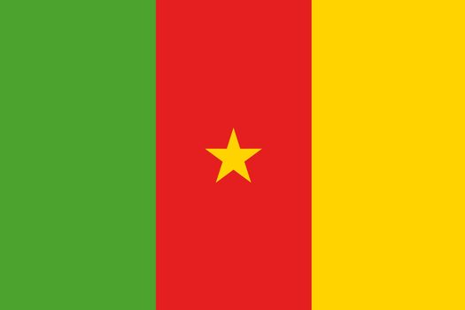 An illustration of the flag of Cameroon