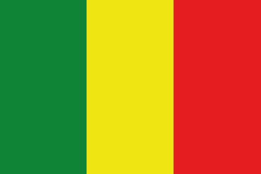 An illustration of the flag of Mali