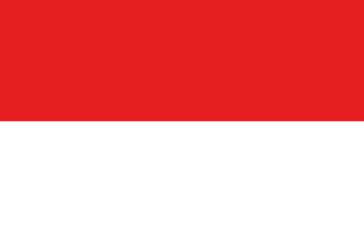 An illustration of the flag of Indonesia