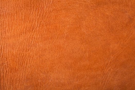 Brown leather texture for background. Close up, top view
