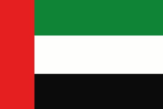 An illustration of the flag of United Arab Emirates