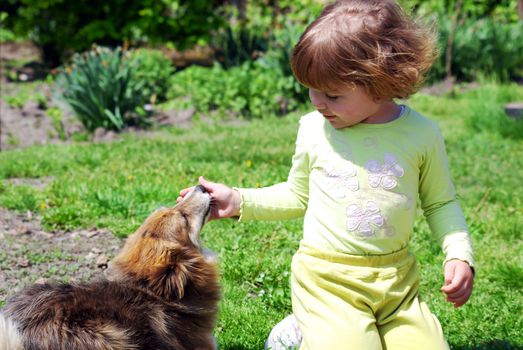 Beauty little girl with pet dog