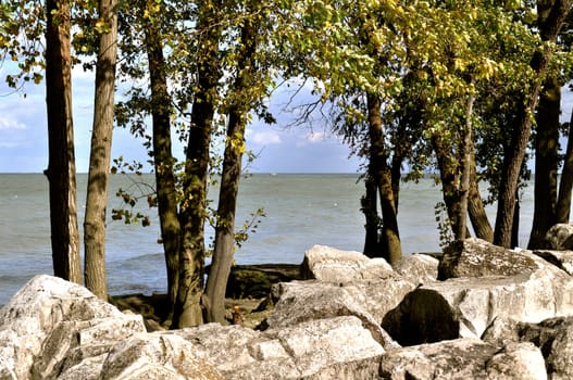 Rocks on beach