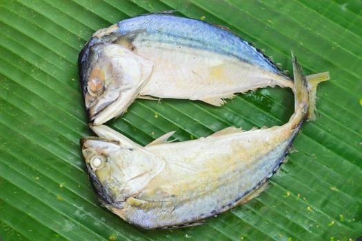 Chub mackerel on a banana leaf