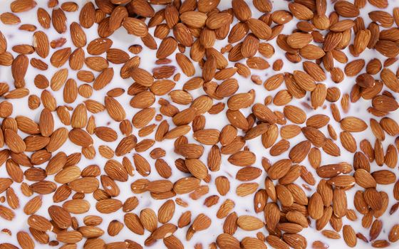 Group of almonds in milk
