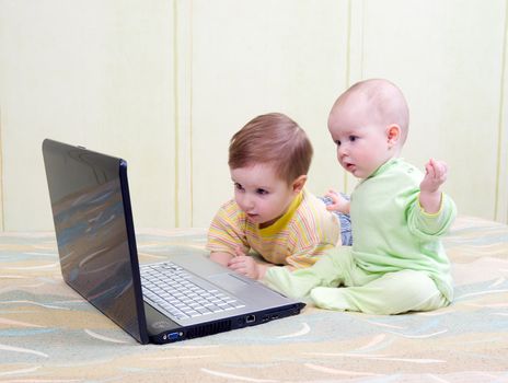 Little girl and boy using laptops.kids playing computer games 