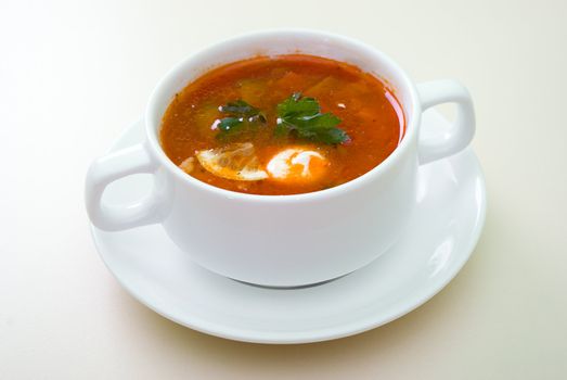 soup with picked cucumbers .russian tart soup