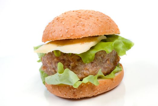 hamburger close-up