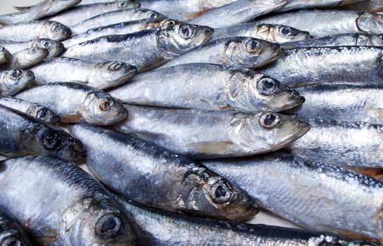 fresh herring fished out in White sea.Close-up
