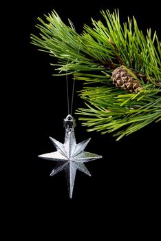 silver star ,pines of the branch on dark background,toy cristmas