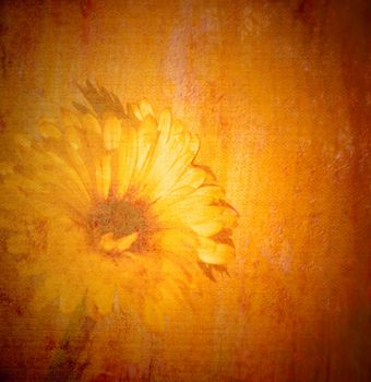 vintage daisy background canvas textured