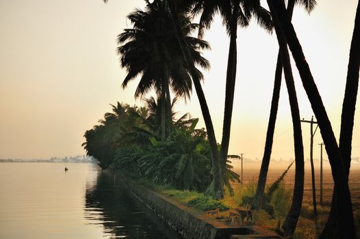 Indian coast with palm trees in the early morning