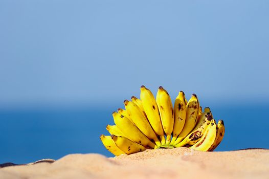 Bunch of bananas on the sand at the sea