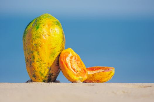 Tropical papaya on the sandy shore near sea