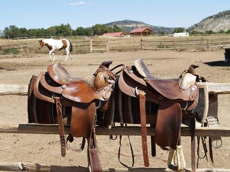 Saddles with a horse in the background