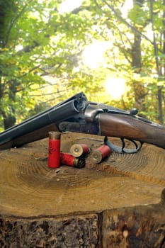 shotgun and its cartridges. Still life representing hunting.