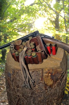 shotgun and its cartridges. Still life representing hunting.