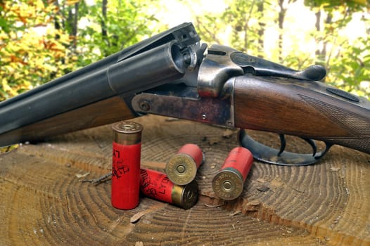 shotgun and its cartridges. Still life representing hunting.